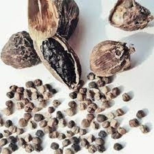 A Grade Highly Aromatic Black Dried Cardamom Seeds