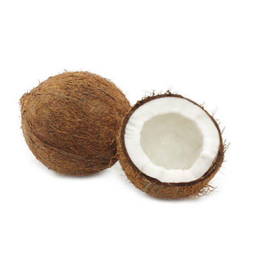 Commonly Cultivated Semi-Husked Medium Sized Fresh Matured Coconut