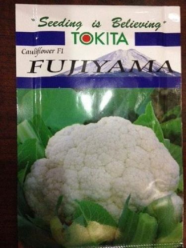 Easy To Use Gmo Free Non Hybrid Natural Pure Tokita Fujiyama Cauliflower Seeds