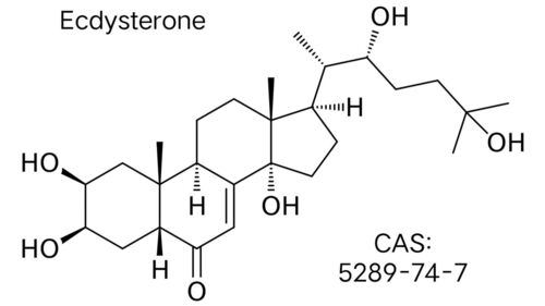 Ecdysterone For Medicinal Uses