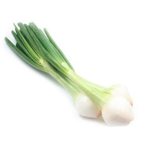 Farm Fresh Round Shape 86% Moisture Content Raw Green Onion