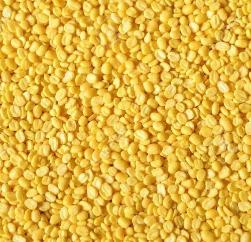 Fresh Round Shape Commonly Cultivated Common Peas Dried Healthy Masoor Dal 