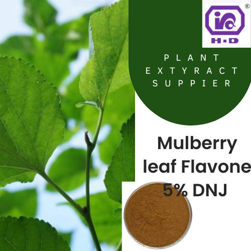 Herbal Grade Mulberry Leaf With High Nutritious Values