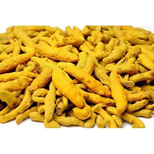 Naturally Grown And Aromatic Flavorful Healthy Dried Yellow Turmeric Finger 
