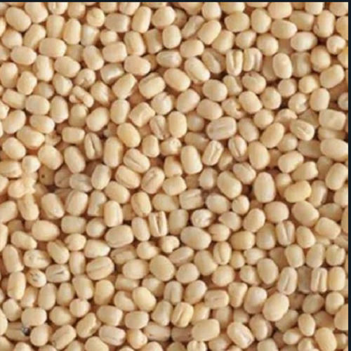 Pack Of 50 Kg Rich In Protein Round Shape White Colour Urad Dal For Cooking Admixture (%): 2%