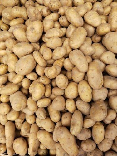 Rich In Potassium, Vitamin C And Fiber 100% Natural Healthy Fresh Potato