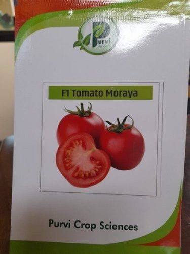 Rich In Protein Easy To Use 100% Natural Dried Vegetarian Red Tomato Seeds