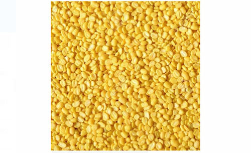 100% Pure And Organic Fresh Natural Moong Dal For Cooking With 1 Kilogram Packet Pack  Admixture (%): 0.9%