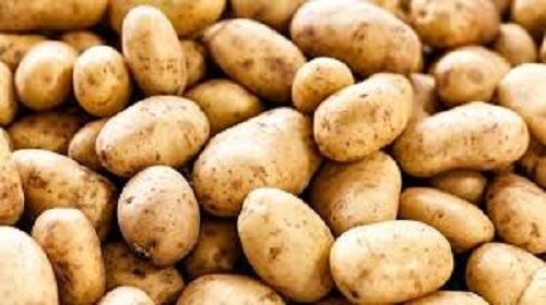 Good Source Of Potassium Vitamins Healthy And Nutritious Round Fresh Potato