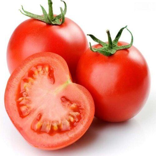 Round & Oval Maturity 100 Percent Mild Flavor Pulpy Juicy Healthy Natural Taste Organic Red Fresh Tomato