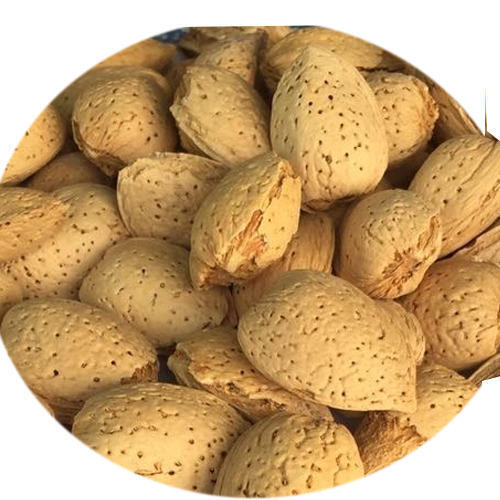 Common Delicious Healthy Indian Origin Nutrients Rich Naturally Grown Tasty Almond