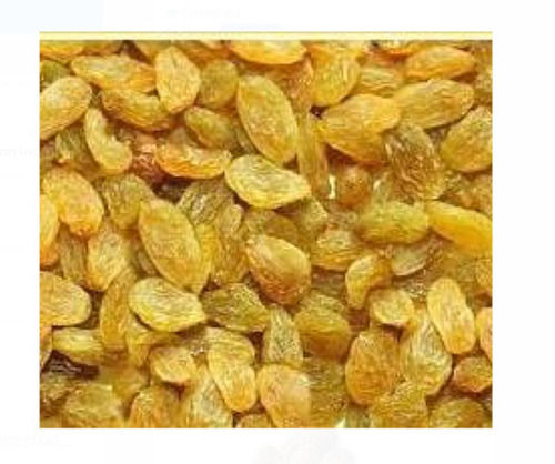 1 Kg Dried Common Cultivated Sweet Taste Golden Raisin