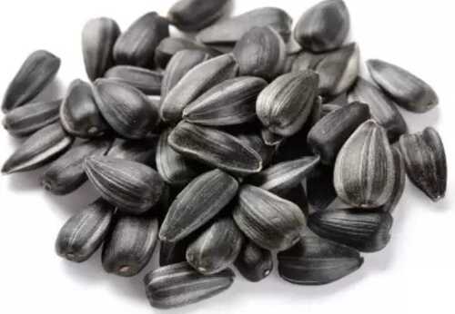 Crunchy Good Source Of Vitamin E Magnesium Protien Rich Sunflower Seeds