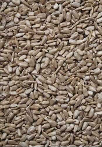 Good Source Of Vitamin E Magnesium Crunchy Protein Rich Sunflower Seeds