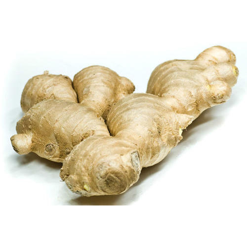 Healthy Indian Origin Naturally Grown Raw Processing Form Instant Style Fresh Ginger