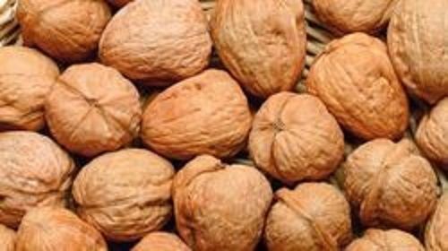 Rich In Omega 3, Protein, Copper And Fiber 100% Natural Dried Walnuts Kernel