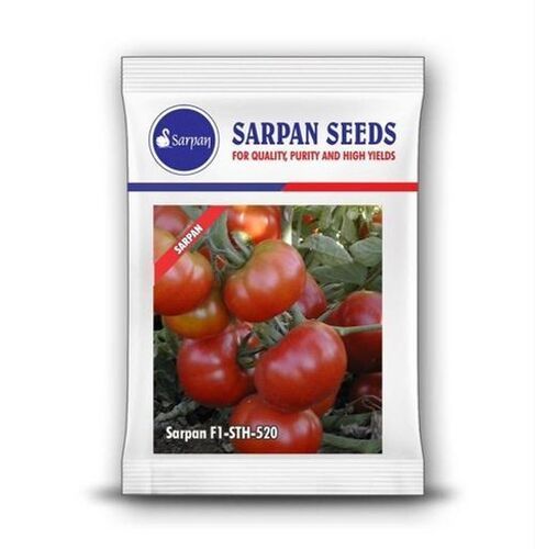 100% Natural Sarpan Seeds For Quality Purity And High Yields Tomato Seeds
