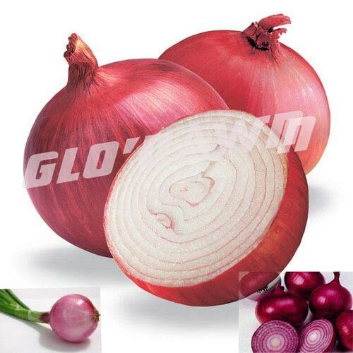 Enhance The Flavor Rich Healthy Natural Taste Fresh Red Onion