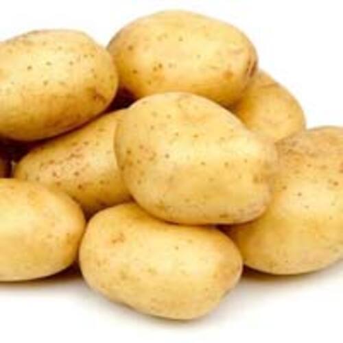 Mild Flavor Chemical Free Rich Natural Delicious Taste Brown Fresh Potato