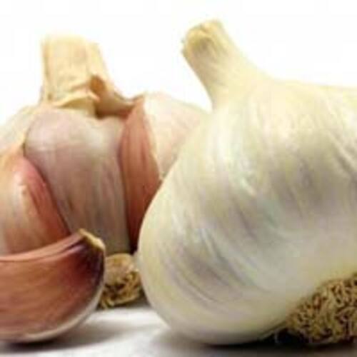 No Artificial Color Chemical Free Natural Rich Taste Healthy White Fresh Garlic