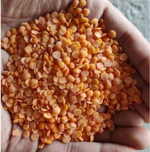 Pack Of 1 Kg High In Protein Common Cultivated Splitted Dried Red Masoor Dal
