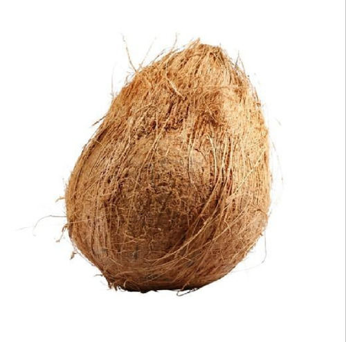 Brown  A Grade Healthy Vitamins Minerals Antioxidants Enriched Semi Husked Coconut