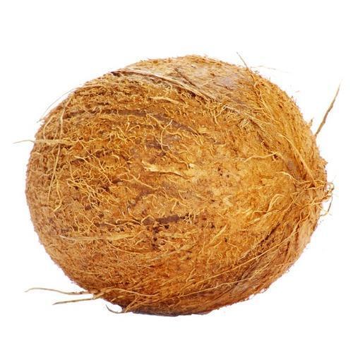 Farm Fresh Semi Husked भूरा गोल आकार का परिपक्व नारियल