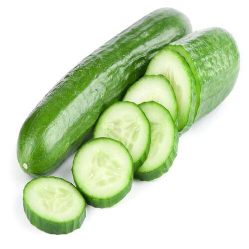 High fiber Chemical Free Healthy Natural Rich Taste Green Fresh Cucumber