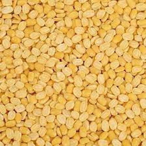 High Fiber Splited Lentils Popular Short Grain Dried Round Yellow Moong Dal