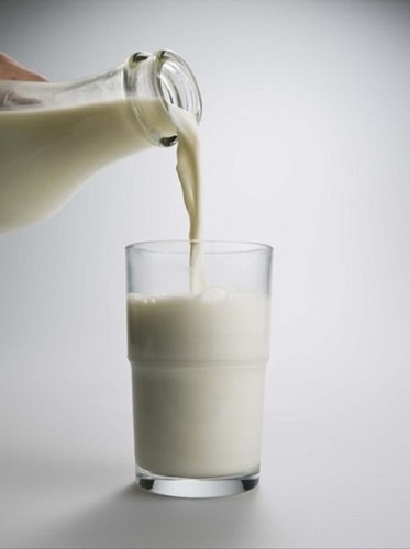 Full Cream Calcium Enriched Fresh Cow Milk - 1 Day Shelf Life, Adulteration Free, High Protein and Essential Nutrients for Adults and Children