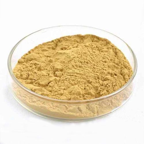 Natural Flavour Enhancer Healthy Smooth Yeast Extract Powder 