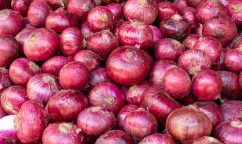 Pesticide Free Red Onion For Human Consumption, Natural Shape And Taste