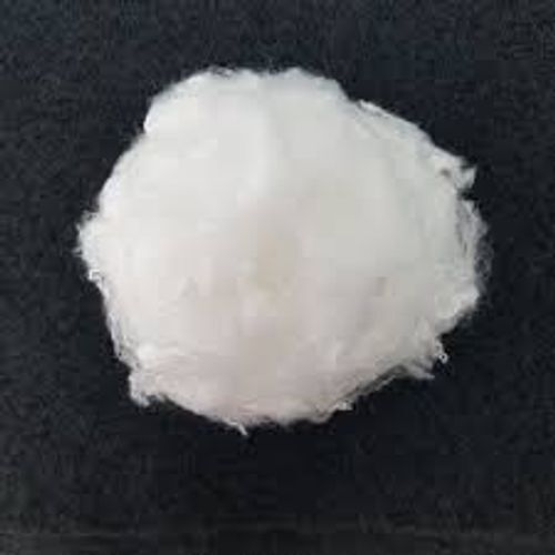 Polyester Fiber