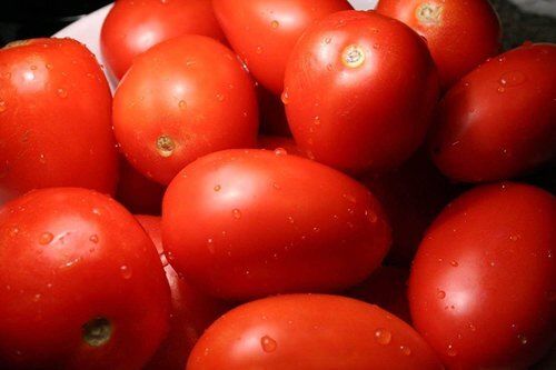 Raw Round Shaped 1479.5 Percentage Moisture Containing Red Tomato