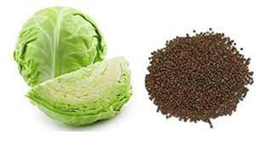 Weight Reduce Healthy Powerful Antioxidant And Nutritious Dry Cabbage Seeds