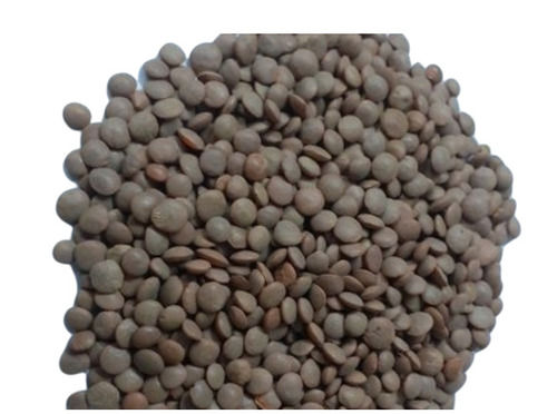 1kg Black Whole Dried And Round Common Cultivated Masoor Malka
