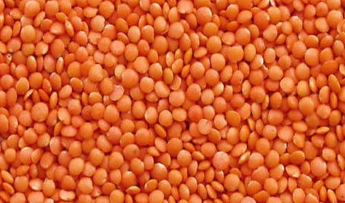 6 Month Shelf Life Dried Whole Round Common Cultivated Red Masoor Dal