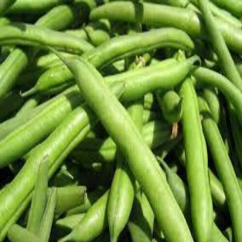 High Fiber Chemical Free No Artificial Color Rich Natural Taste Fresh Green Beans Origin: India