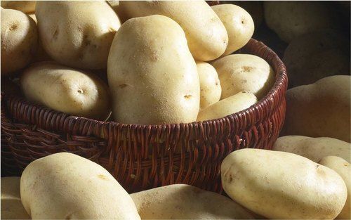 Natural Fiber Rich Potassium Vitamin Healthy And Fresh Brown Organic Potato