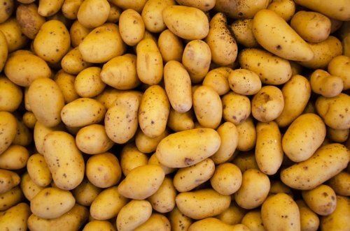 Natural Fresh Rich In Potassium Vitamins Fiber Healthy Brown Organic Potato