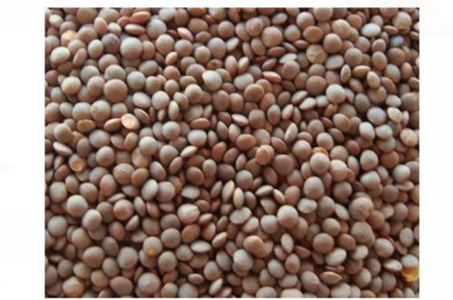 Pack Of 50 Kg Rich In Protein And Vitamins Black Dried Masoor Dal For Cooking Admixture (%): 5%