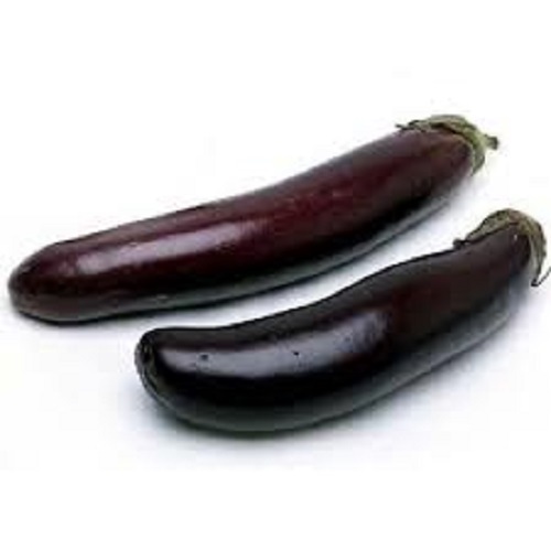 Hygienically Healthy And Natural Rich In Nutrients Fresh Brinjal - Oval Shape, Deep Glossy Purple Skin, 20% Moisture, Preserved With CaCl2 (5%) Sprays