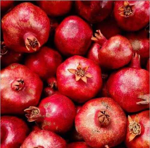 Rich In Fiber, Vitamins 100% Natural Tasty And Healthy Fresh Red Pomegranates