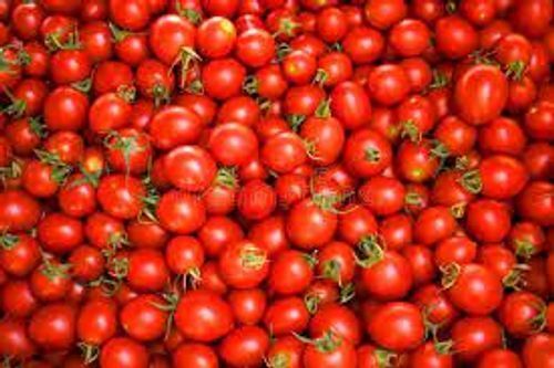 Round Shaped Naturally Grown Healthy And Fresh Red Juicy Tomatoes , 1 K G 