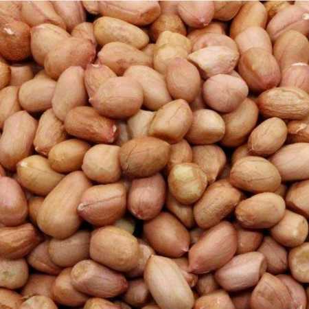 Wholesale Price Export Quality Peanut Or Groundnut Seeds Bold (50-60 Count)