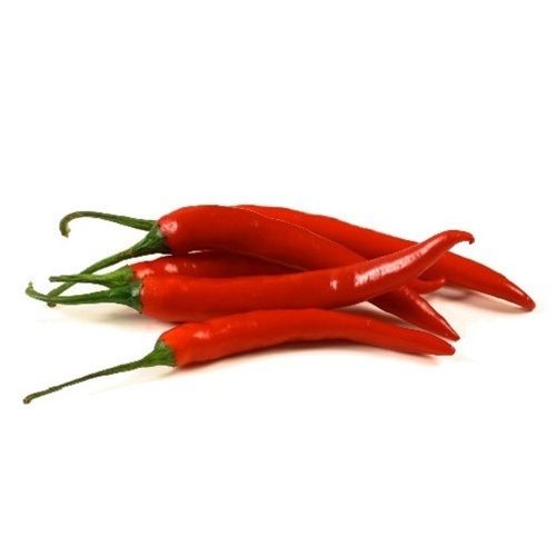Long Shape Farm Fresh Natural Grown Raw Spicy Red Chilli 
