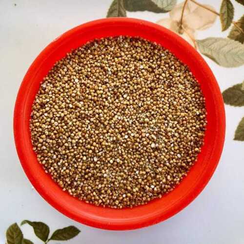 Millet Seeds Without Artificial Flavour Added For Cattle Feed And Cooking Usage