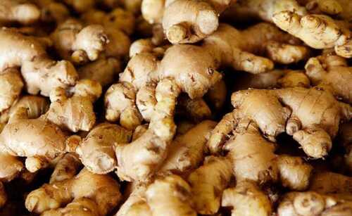 No Added Preservative Chemical Free 100% Natural Healthy Brown Fresh Ginger