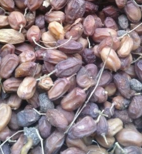 Pack Of 10 Kilogram 12 Month Shelf Life Oval Shaped Dried Brown Neem Seeds