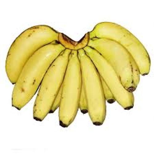 100% Organic Fresh Bananas, Rich Source Of Protein And Carbohydrates